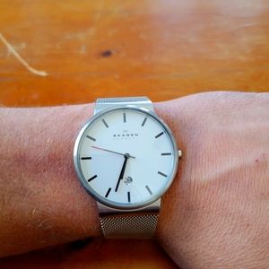 Skagen Stainless Steel Wristwatch (Mens)